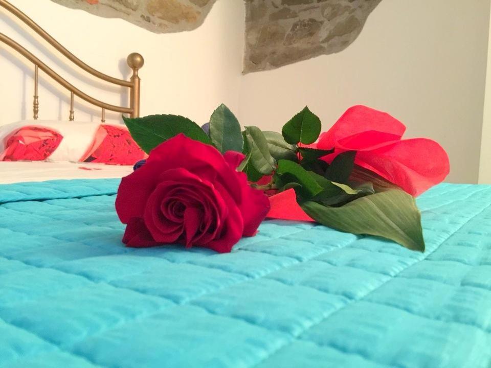 פיומבינו Viola Apartment מראה חיצוני תמונה